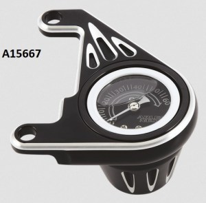 A15667a